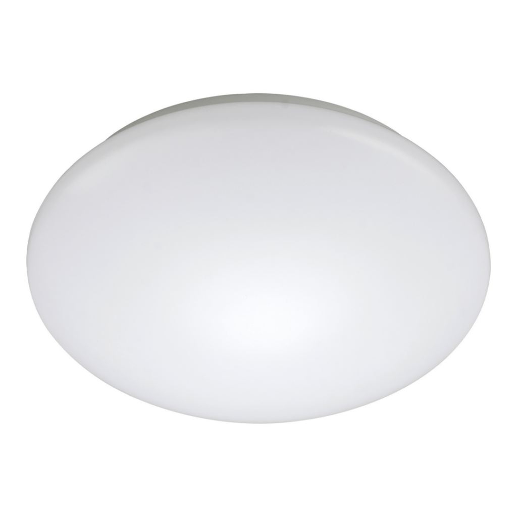 5541264 cut.jpg - Florida Light Solutions Agosto 18, 2025