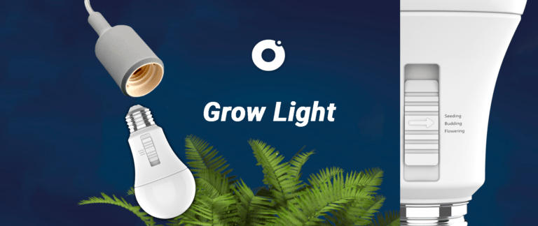 grow light feaured image