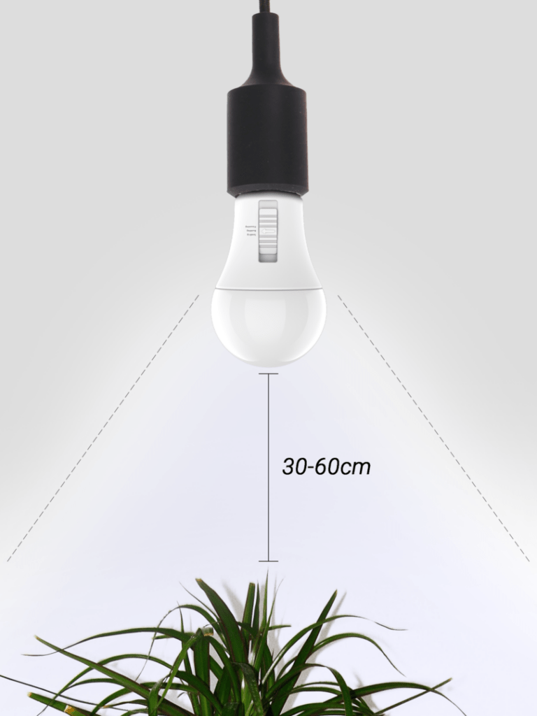 growlight diagrama 1 - Florida Light Solutions Agosto 23, 2025