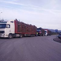 NLF Madeiras