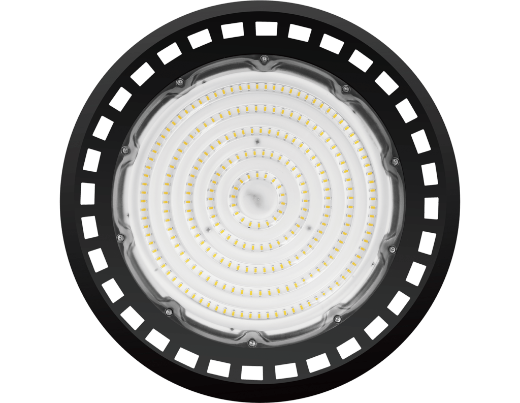 campanula facing camera 1 - Florida Light Solutions Novembro 7, 2025
